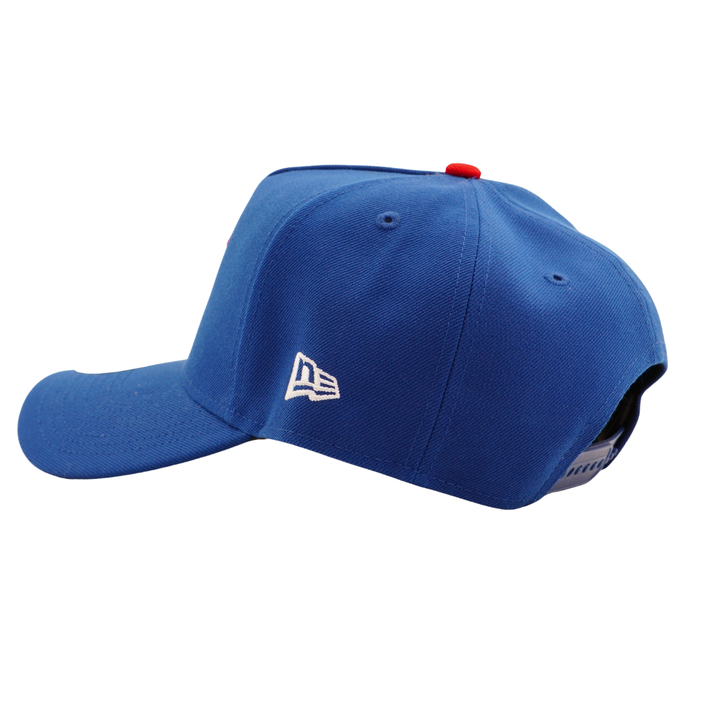 Chicago Cubs 2016 World Series 10th Anniversary Patch 9FORTY A-Frame Cap by New Era Caps NEW ERA CAP COMPANY