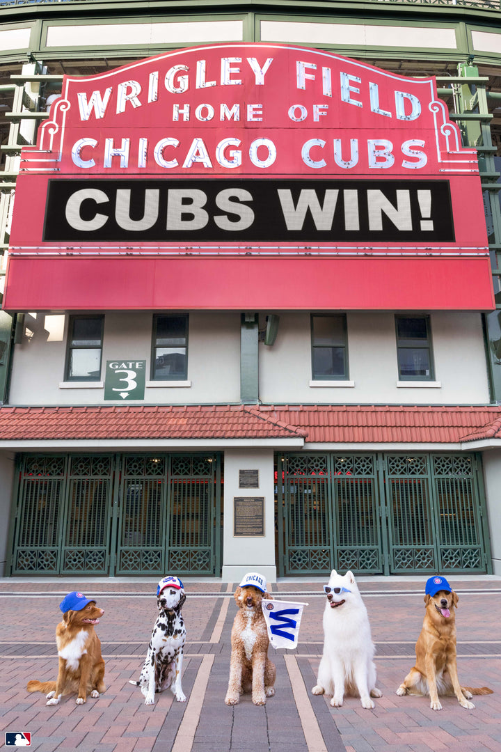Cubs Win, Wrigley Field™, Chicago Photography Gray Malin