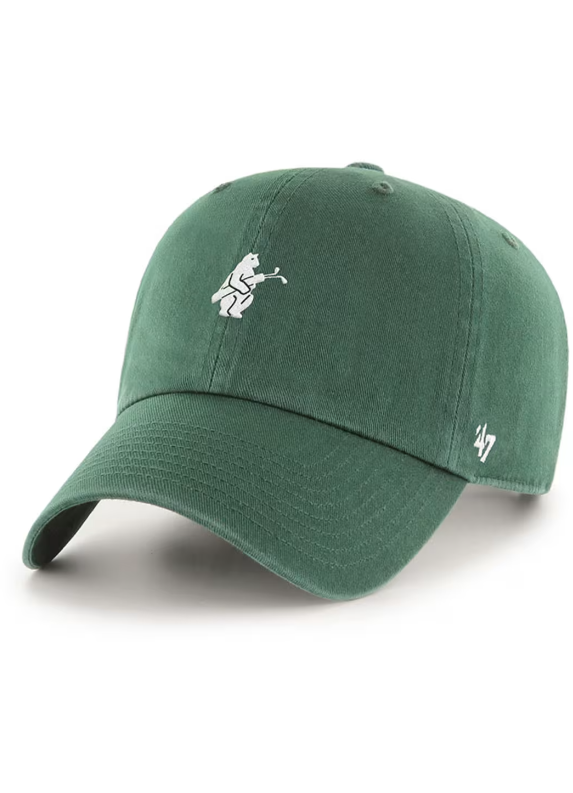 CHICAGO CUBS &