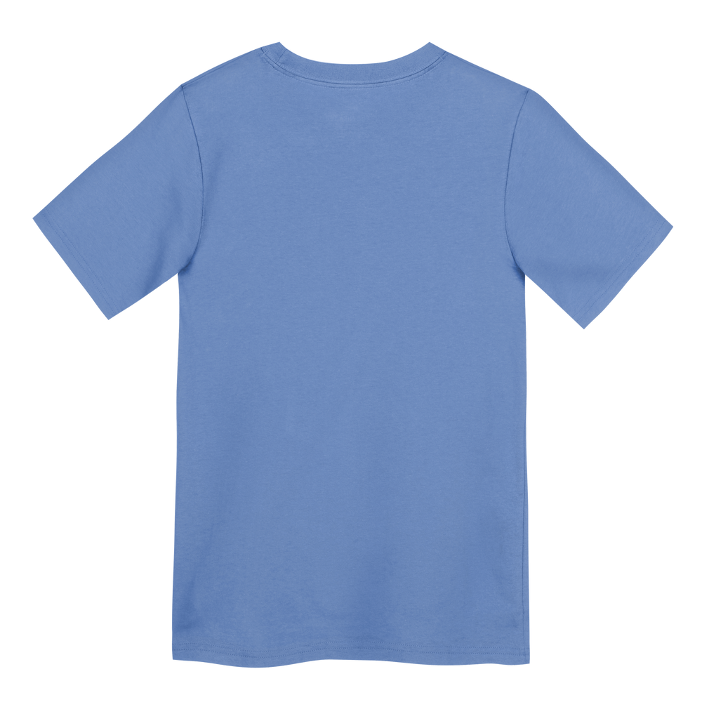 Chicago Cubs Blues Alternate Rock Bear Youth Tee by Nike T-Shirt OUTERSTUFF LLC